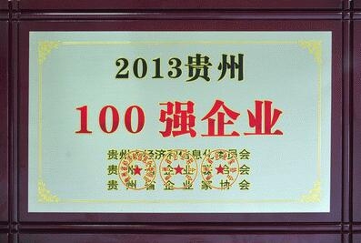 澳门大金沙所有网站荣获“2013贵州企业100强”称号